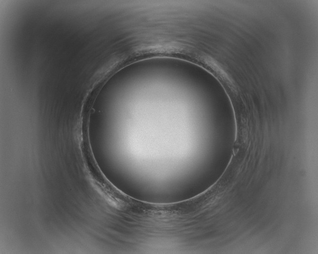 X0000073510486200607311322