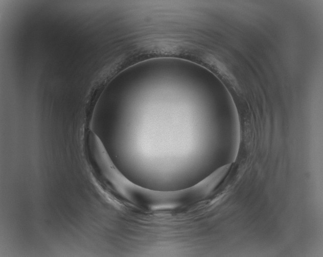 X0000073510493200607311322