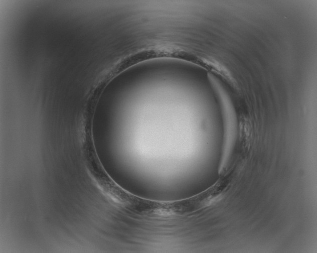 X0000073510496200607311322
