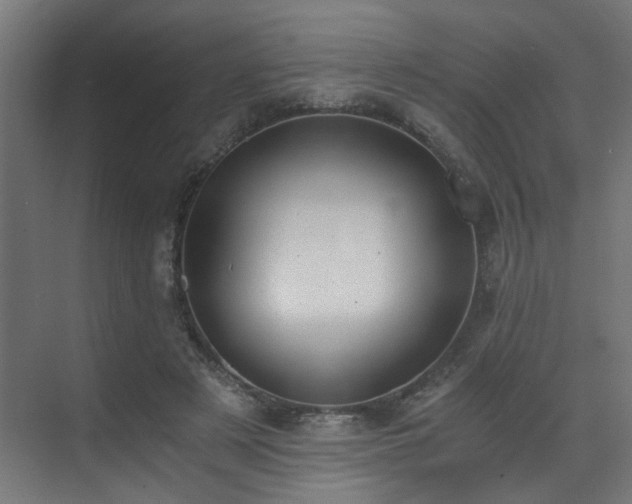 X0000073510497200607311322