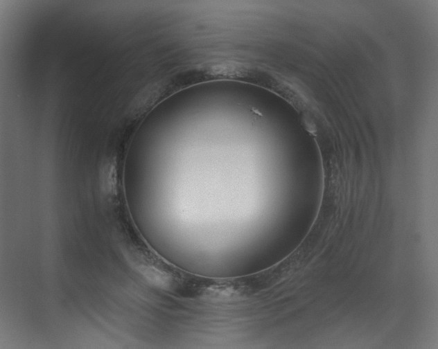 X0000073510502200607311322