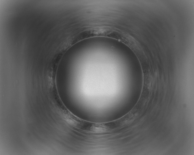 X0000073510510200607311322