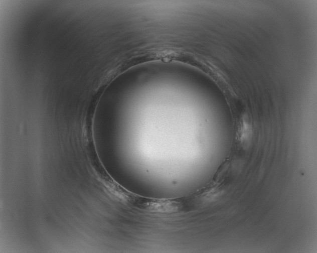 X0000073510524200607311322