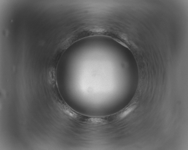 X0000073510528200607311322