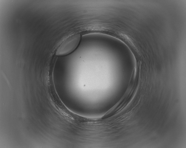 X0000073510531200607311321