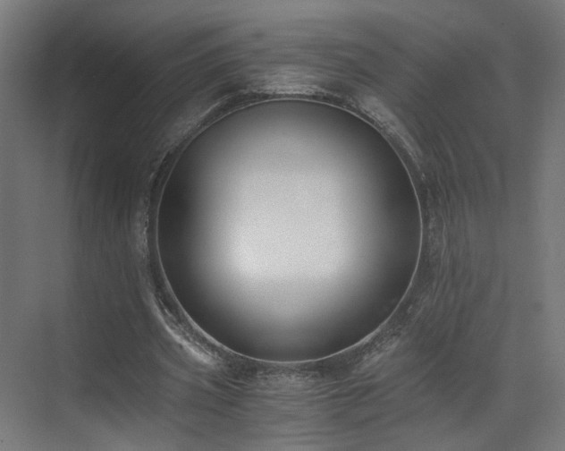 X0000073510533200607311321