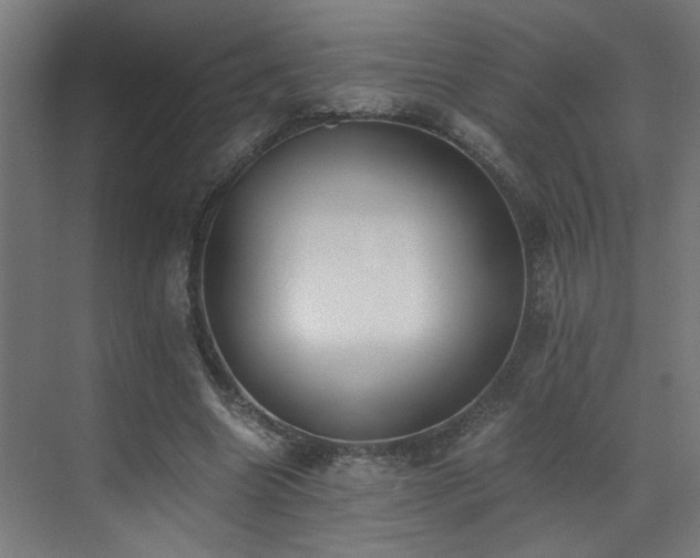 X0000073510538200607311321