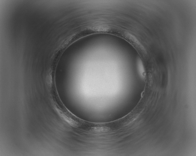 X0000073510541200607311321