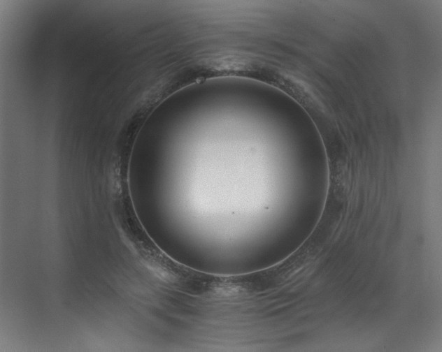 X0000073510547200607311321