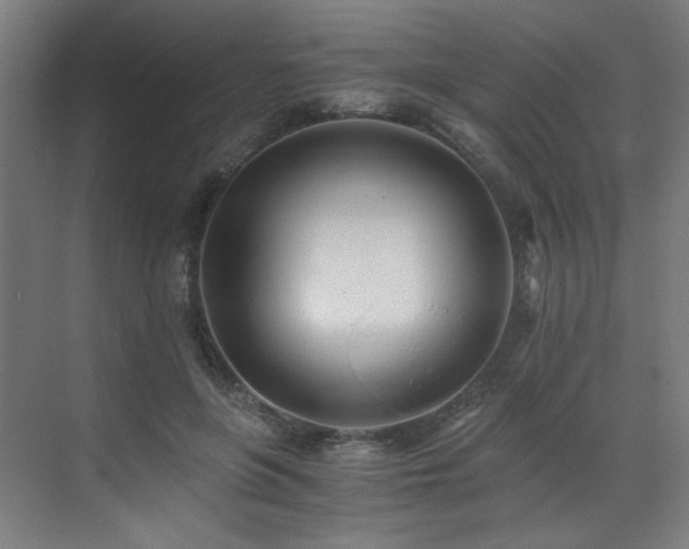 X0000073510551200607311321