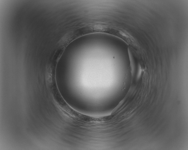 X0000073510552200607311321