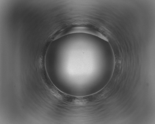 X0000073510556200607311321