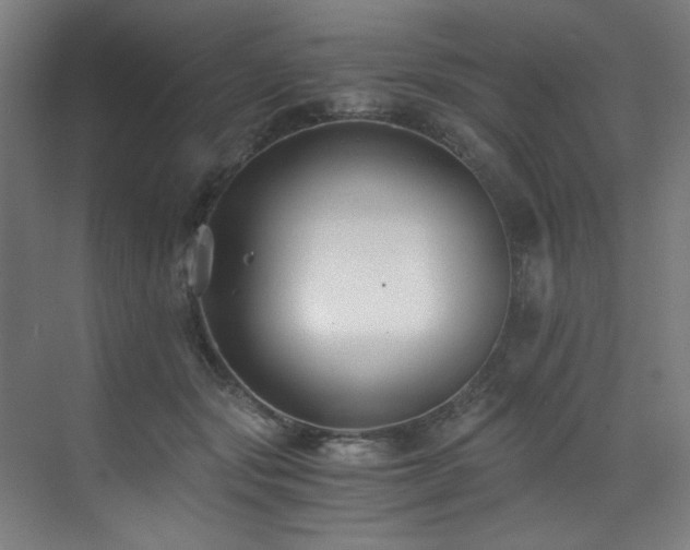X0000073510557200607311321