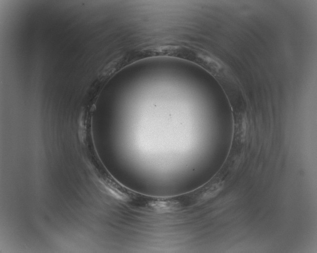 X0000073510558200607311321