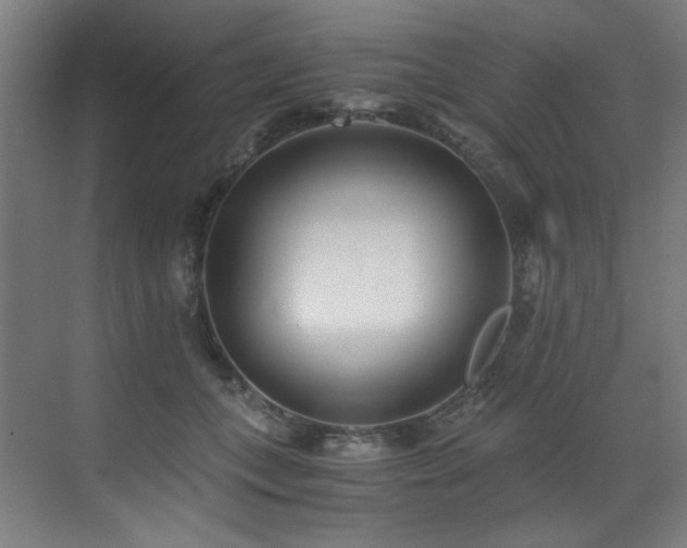 X0000073510559200607311321