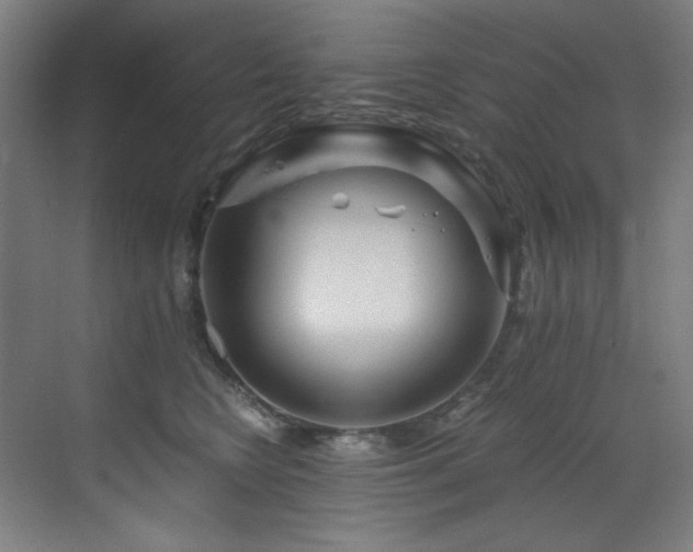 X0000073510566200607311321