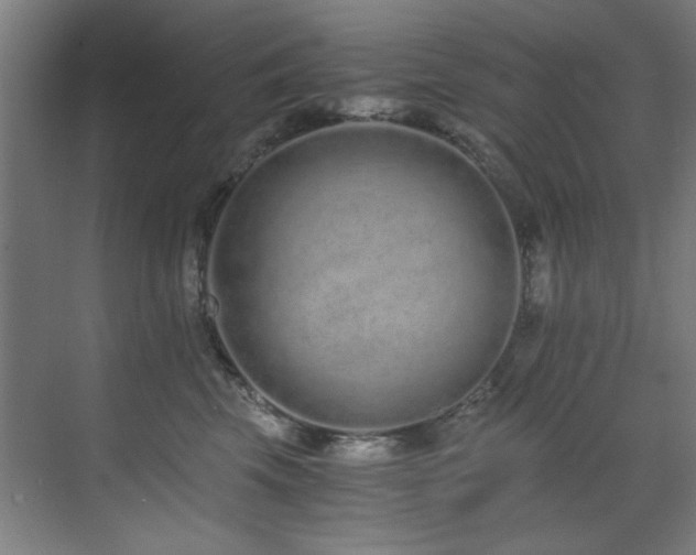 X0000073510569200607311321