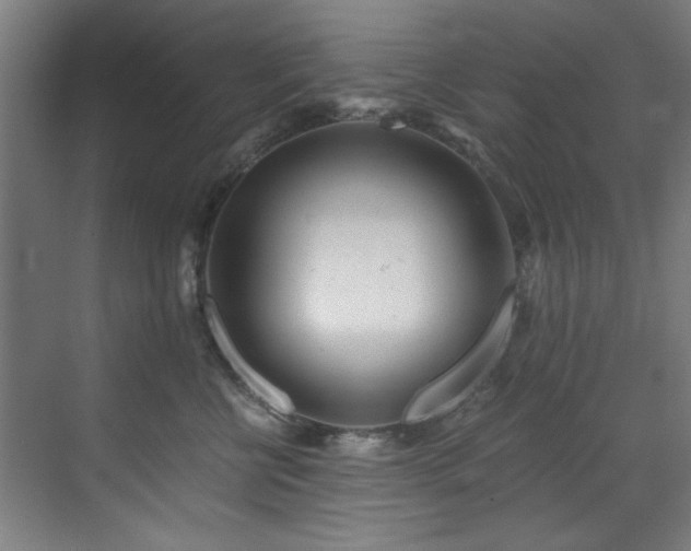 X0000073510570200607311321
