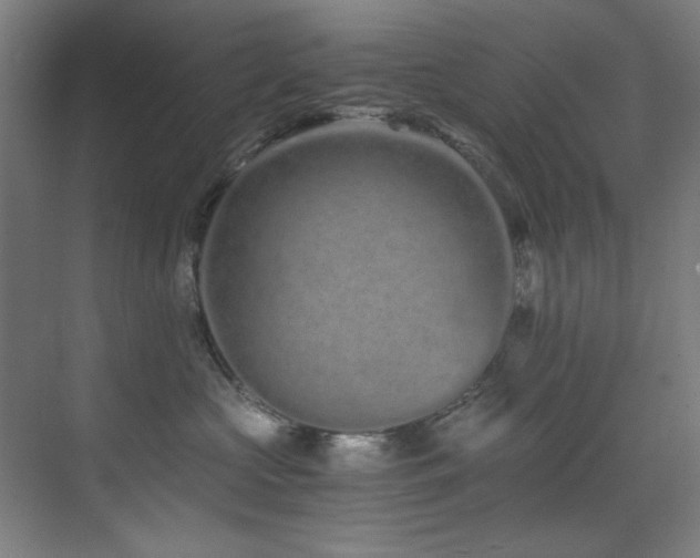 X0000073510573200607311322