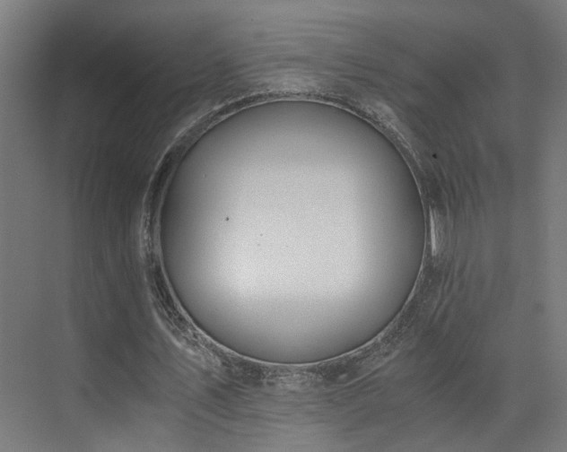 X0000073510579200607311321