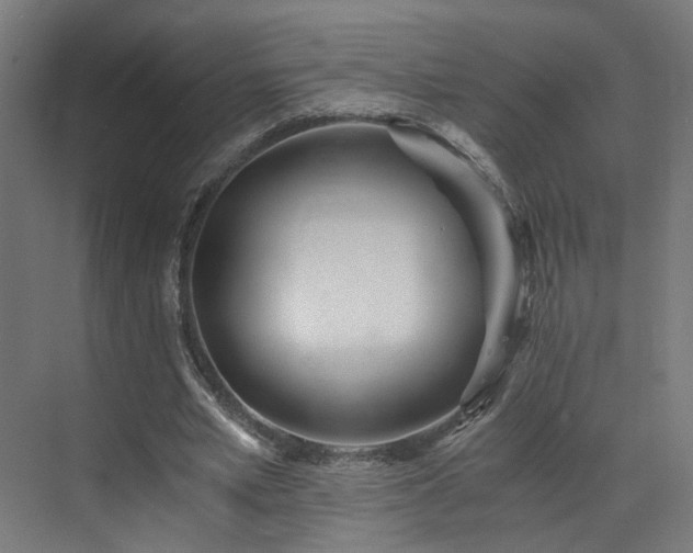 X0000073510581200607311321