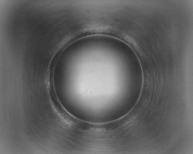 X0000073510582200607311321