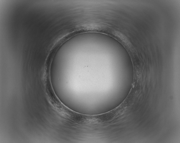 X0000073510583200607311321