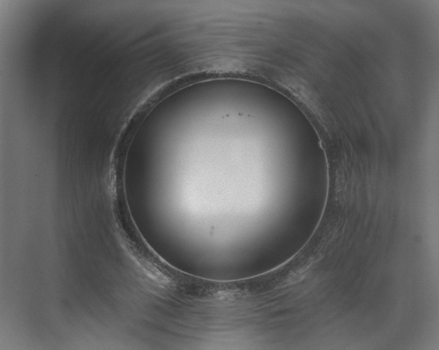 X0000073510584200607311321