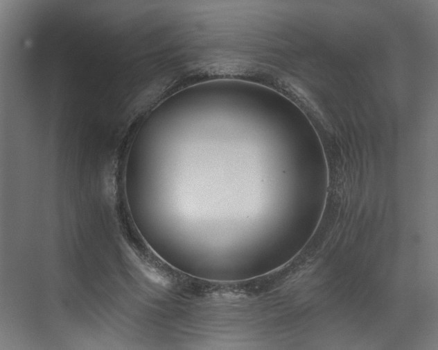 X0000073510586200607311321