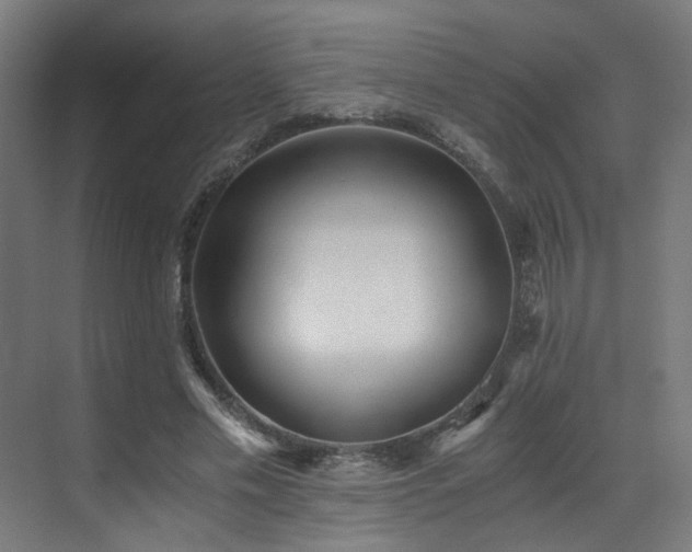 X0000073510589200607311321