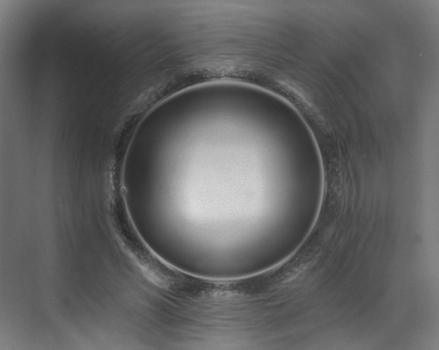 X0000073510590200607311321