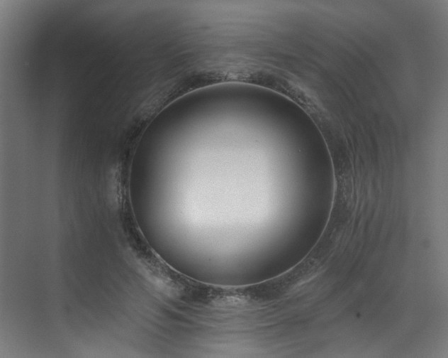 X0000073510594200607311320