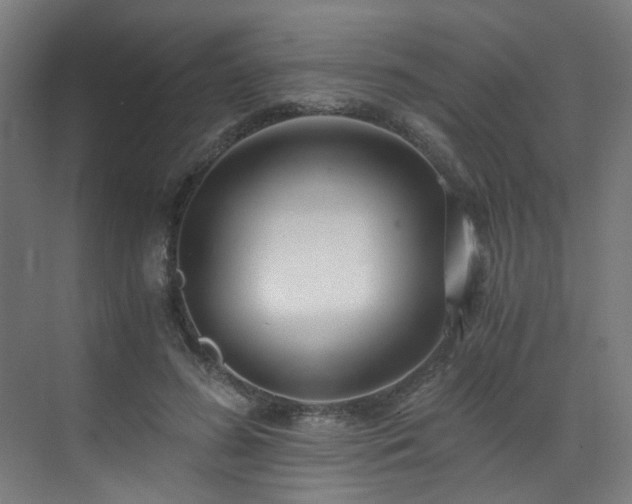X0000073510596200607311320
