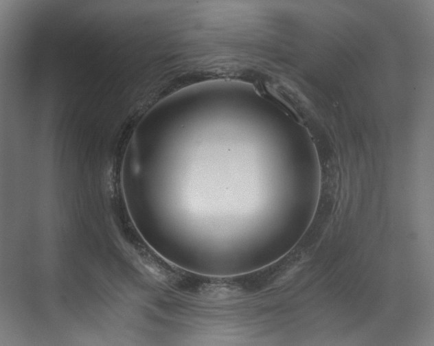 X0000073510597200607311320