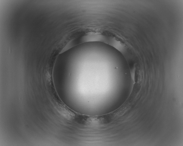 X0000073510613200607311320