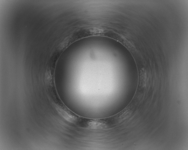 X0000073510614200607311320
