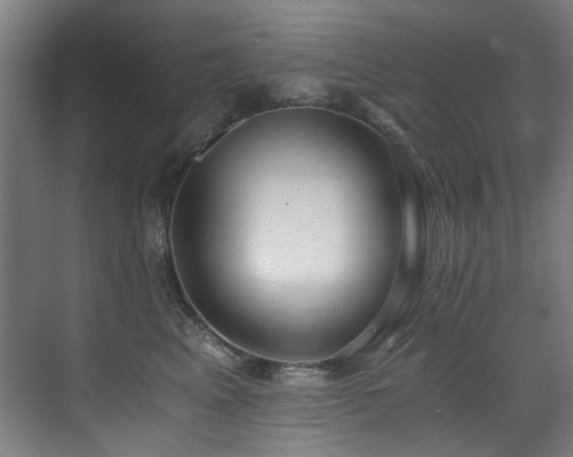 X0000073510617200607311320