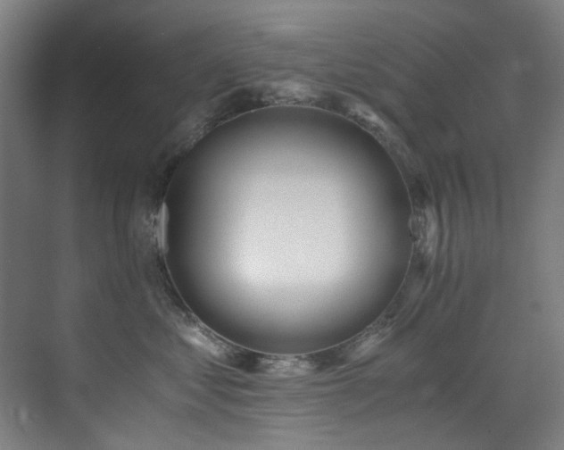 X0000073510621200607311320
