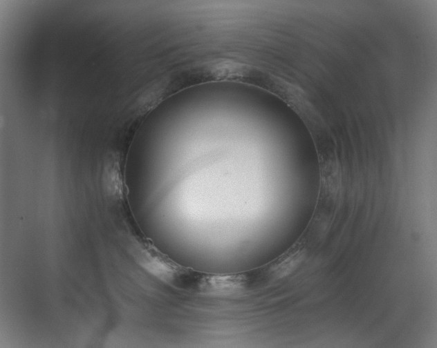 X0000073510622200607311320