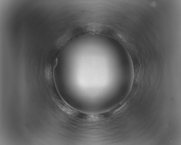 X0000073510623200607311320