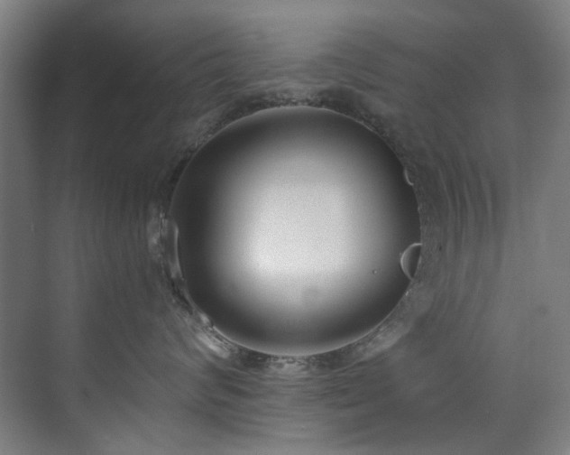 X0000073510624200607311320