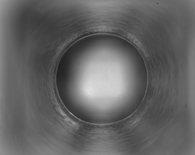 X0000073510625200607311319