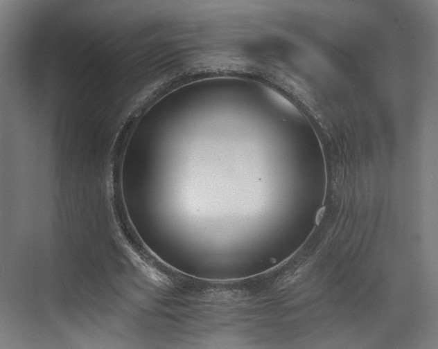 X0000073510629200607311319