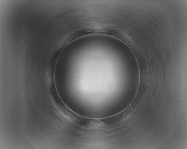 X0000073510642200607311319