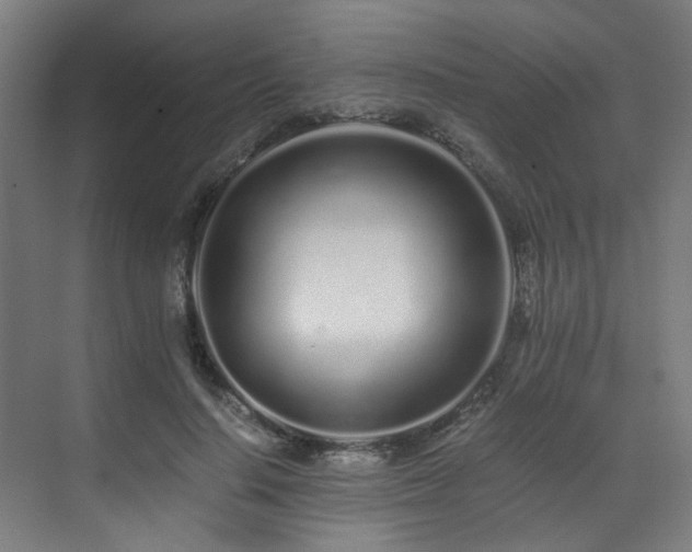 X0000073510644200607311319