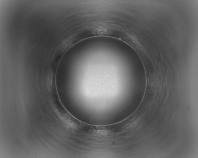 X0000073510645200607311319