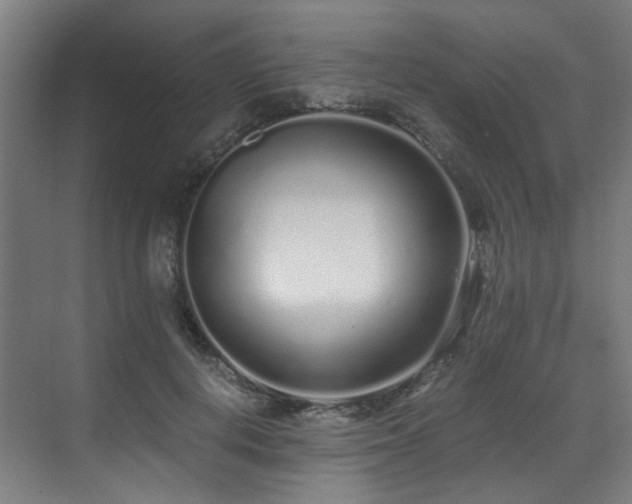 X0000073510648200607311320