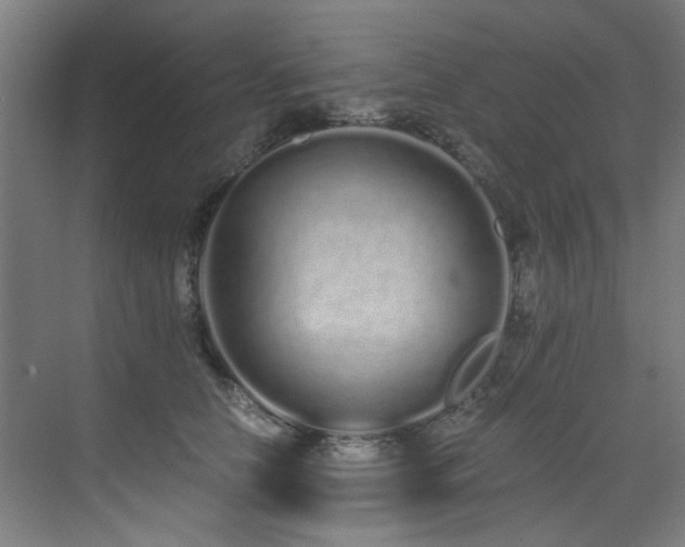 X0000073510658200607311320