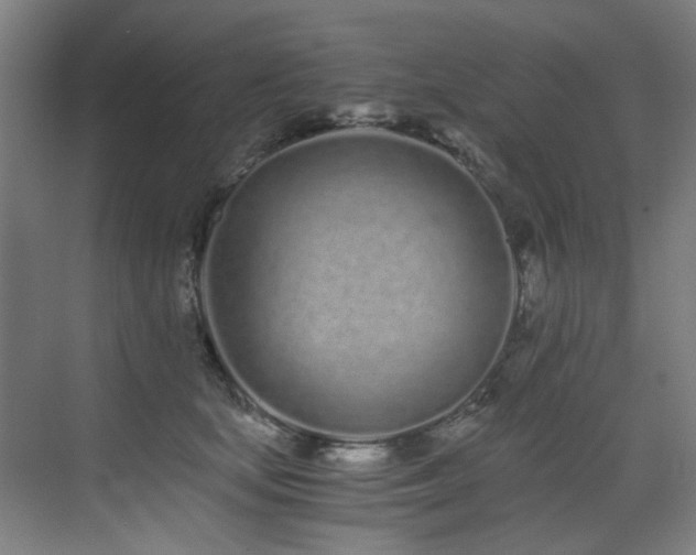 X0000073510659200607311320