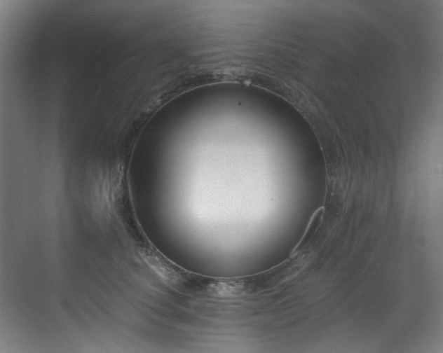 X0000073510660200607311320